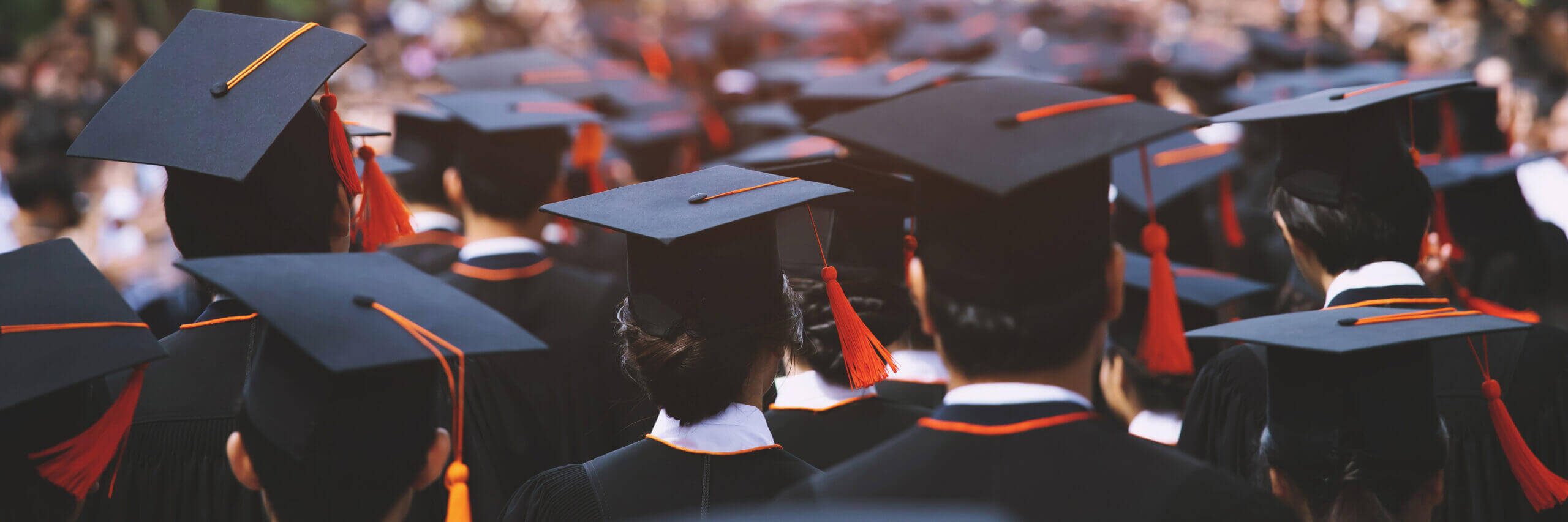 university graduation 