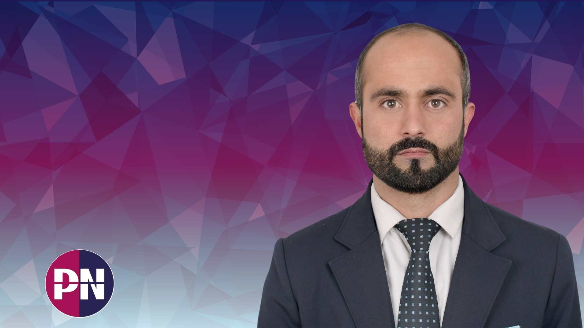 Expert Linguist with PN logo