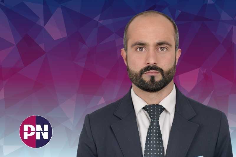 Expert Linguist with PN logo